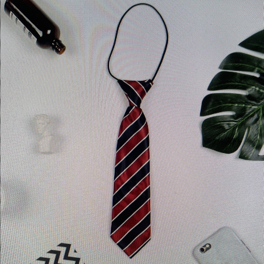 Elegant Red and Black Striped Men's Tie